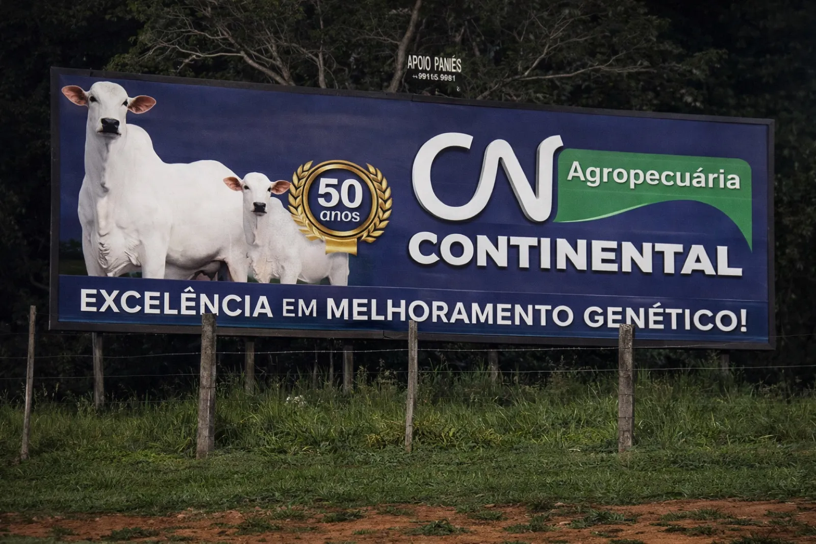 Painel rodoviário 6x12 da CN Continental Agropecuária no pedágio Penápolis/Glicério, Rodovia Marechal Rondon